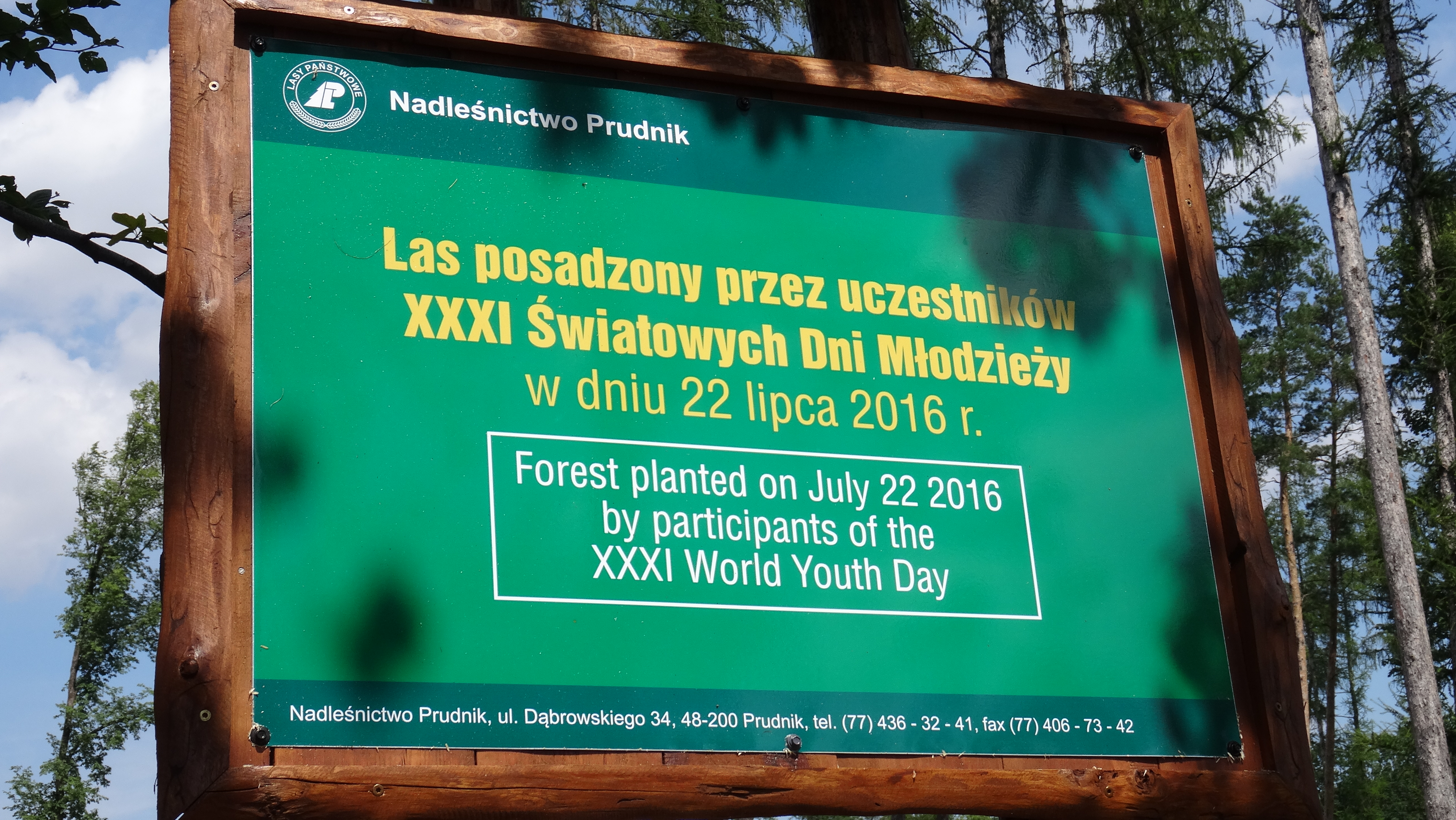 WJD Krakau 2016: Bomen en barmhartigheid